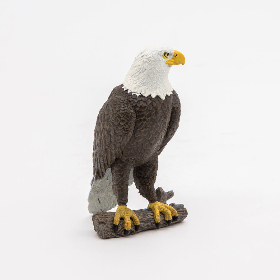 Figurine Pygargue à tête blanche Papo en PVC, thème oiseaux, Collection Animaux sauvages, jouet éducatif idéal pour enfants et collectionneurs