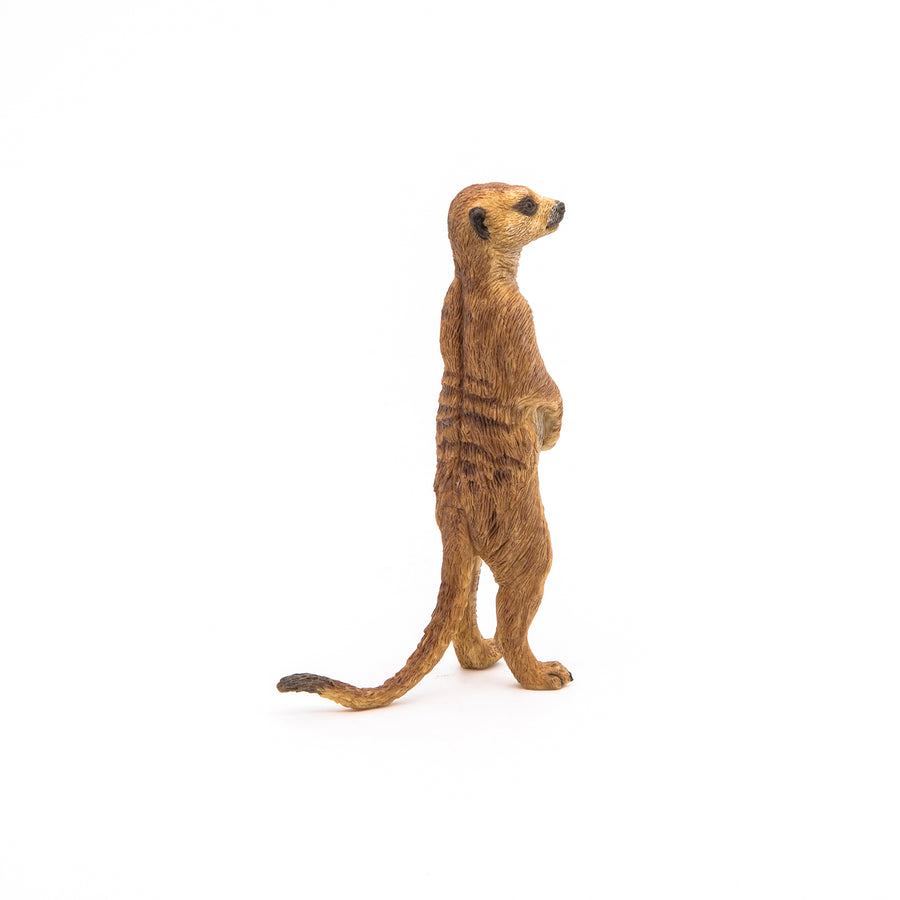 Figurine Suricate debout Papo en PVC, thème savane, Collection Animaux sauvages, jouet éducatif idéal pour enfants et collectionneurs
