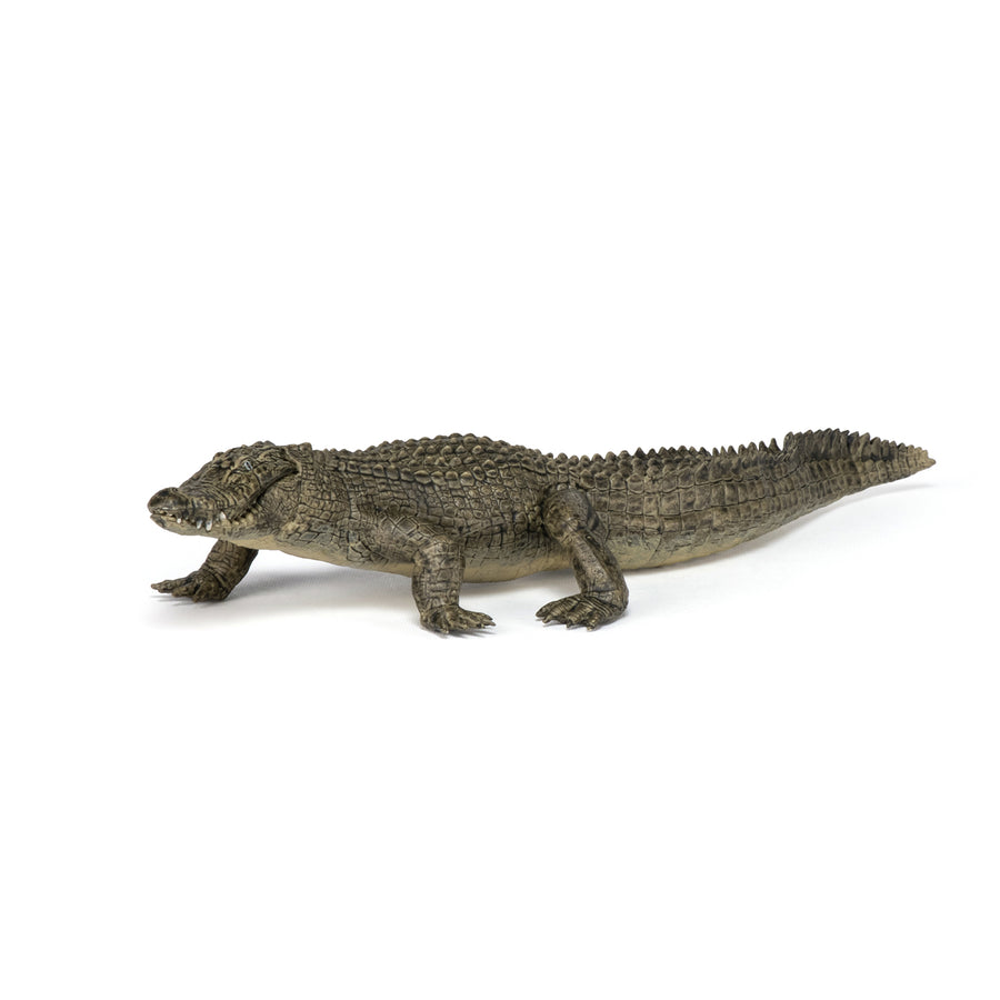 Figurine Alligator Papo en PVC, thème reptiles, Collection Animaux sauvages, jouet éducatif idéal pour enfants et collectionneurs