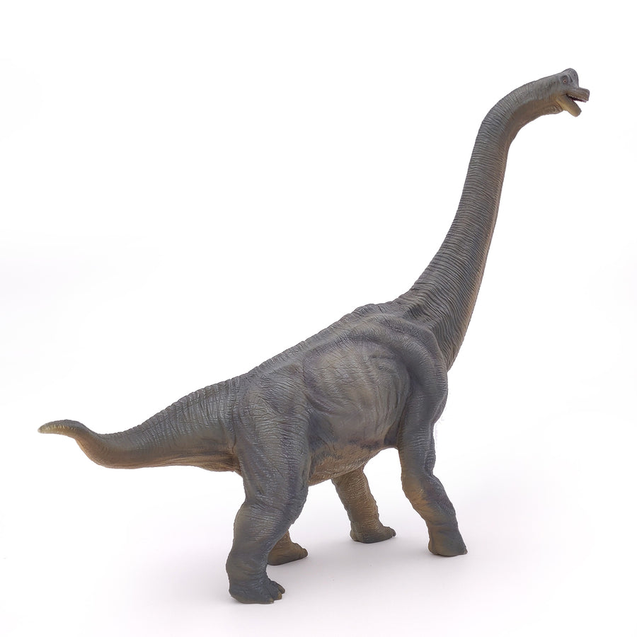 Brachiosaure Papo en PVC, Collection Dinosaures, jouet éducatif idéal pour enfants et collectionneurs