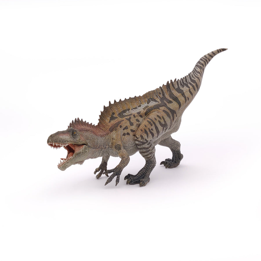 Acrocanthosaurus Papo en PVC, Collection Dinosaures, jouet éducatif idéal pour enfants et collectionneurs