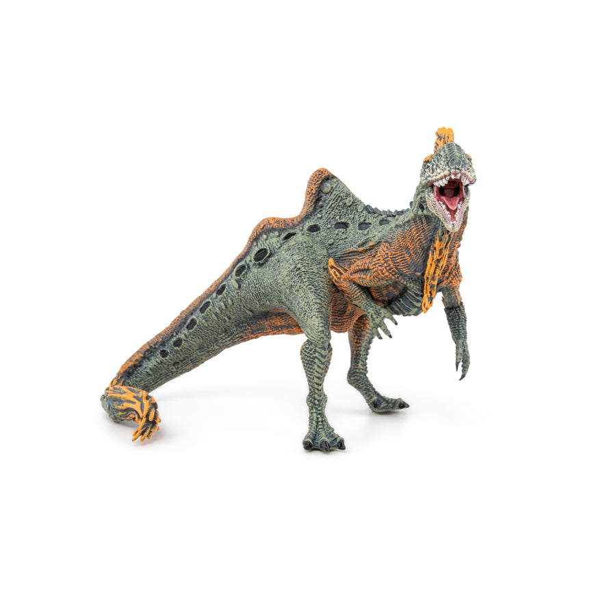 Concavenator Papo en PVC, Collection Dinosaures, jouet éducatif idéal pour enfants et collectionneurs