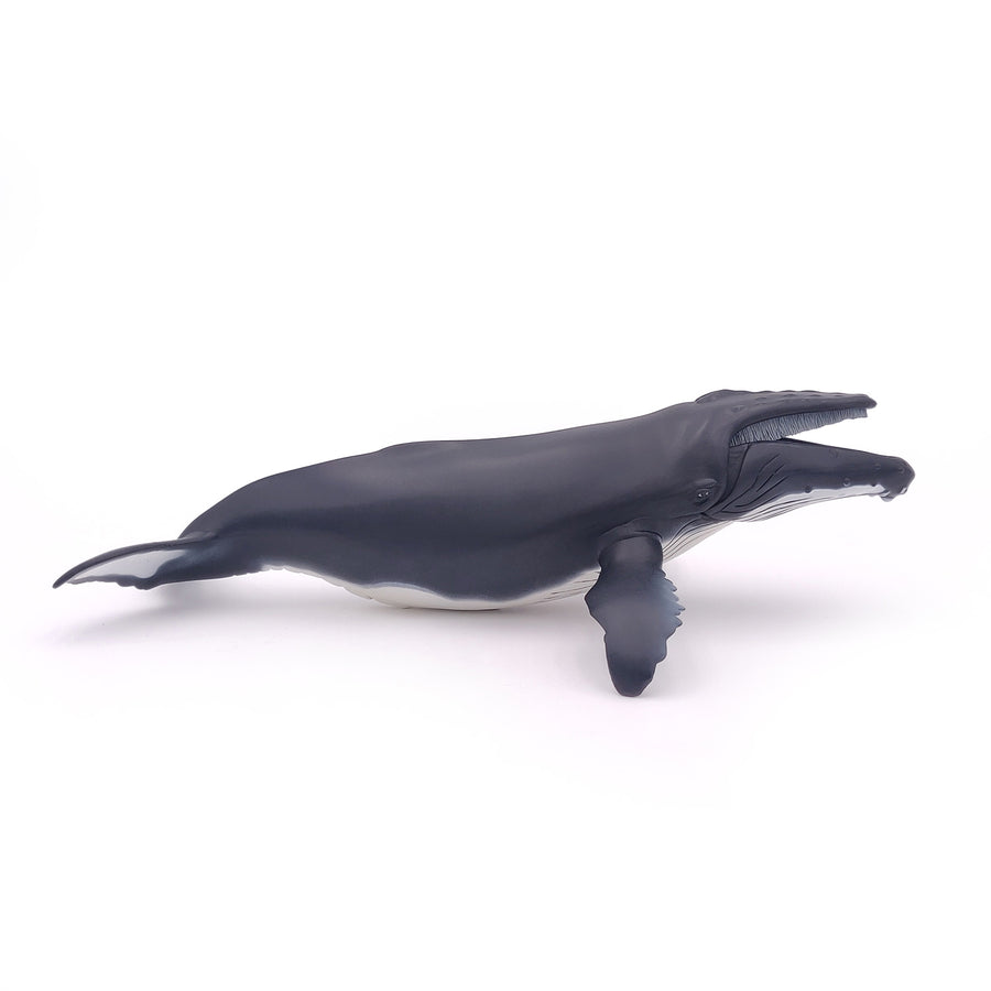 Baleine à bosse Papo en PVC, Collection animaux marins, jouet éducatif idéal pour enfants et collectionneurs