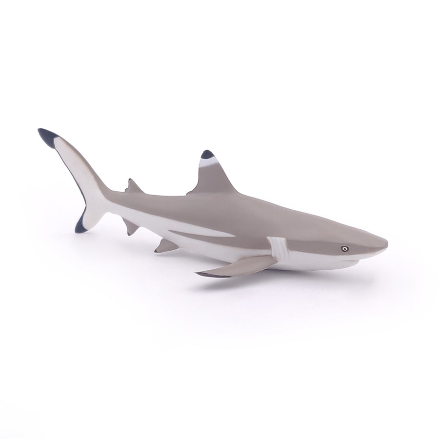 Figurine Requin à pointes noires Papo en PVC, Collection animaux marins, jouet éducatif idéal pour enfants et collectionneurs