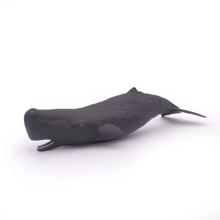 Bébé cachalot Papo en PVC, Collection animaux marins, jouet éducatif idéal pour enfants et collectionneurs
