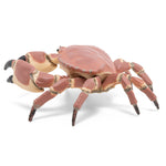 Crabe Papo en PVC, Collection animaux marins, jouet éducatif idéal pour enfants et collectionneurs